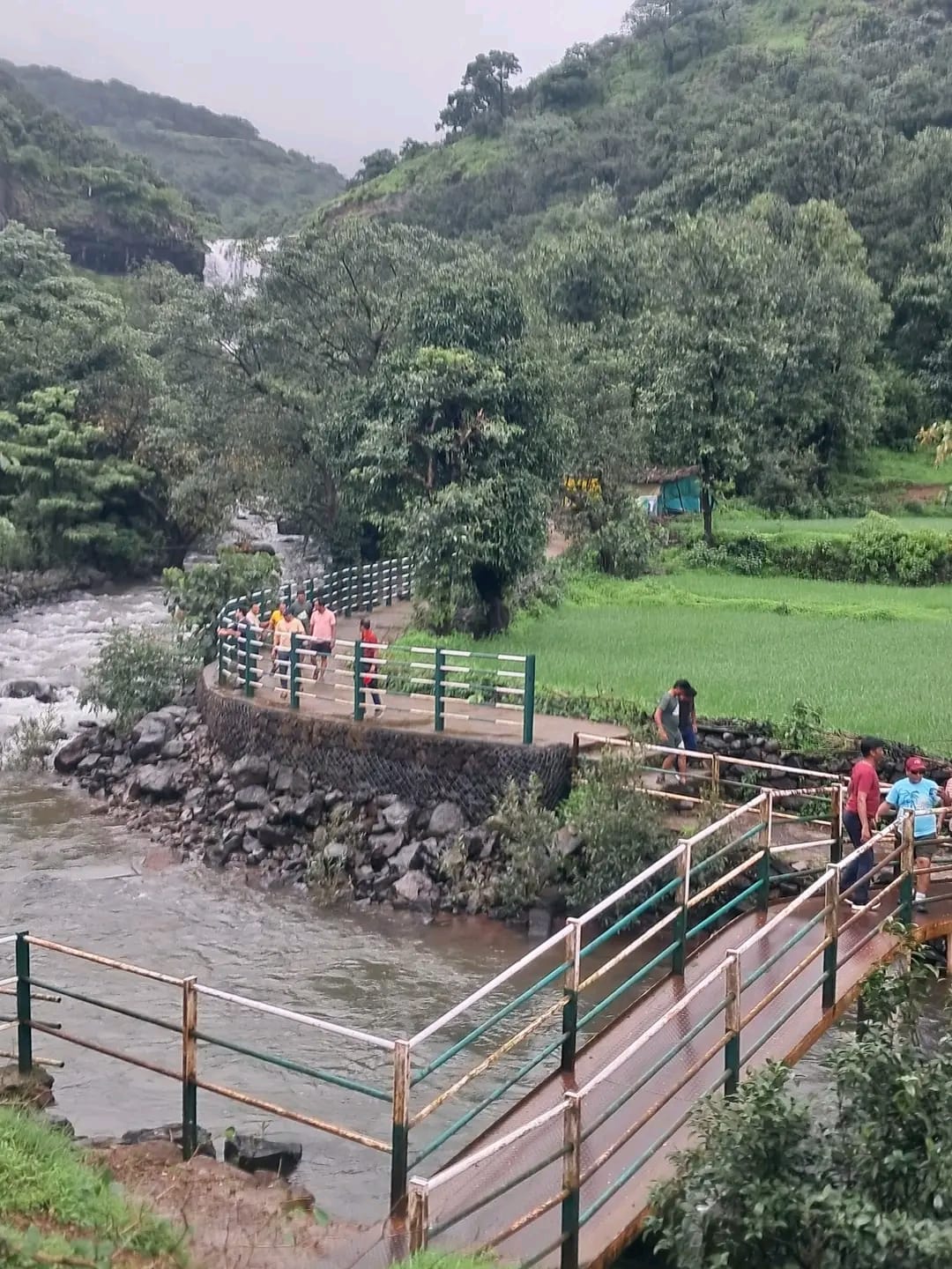 Guided nature walk